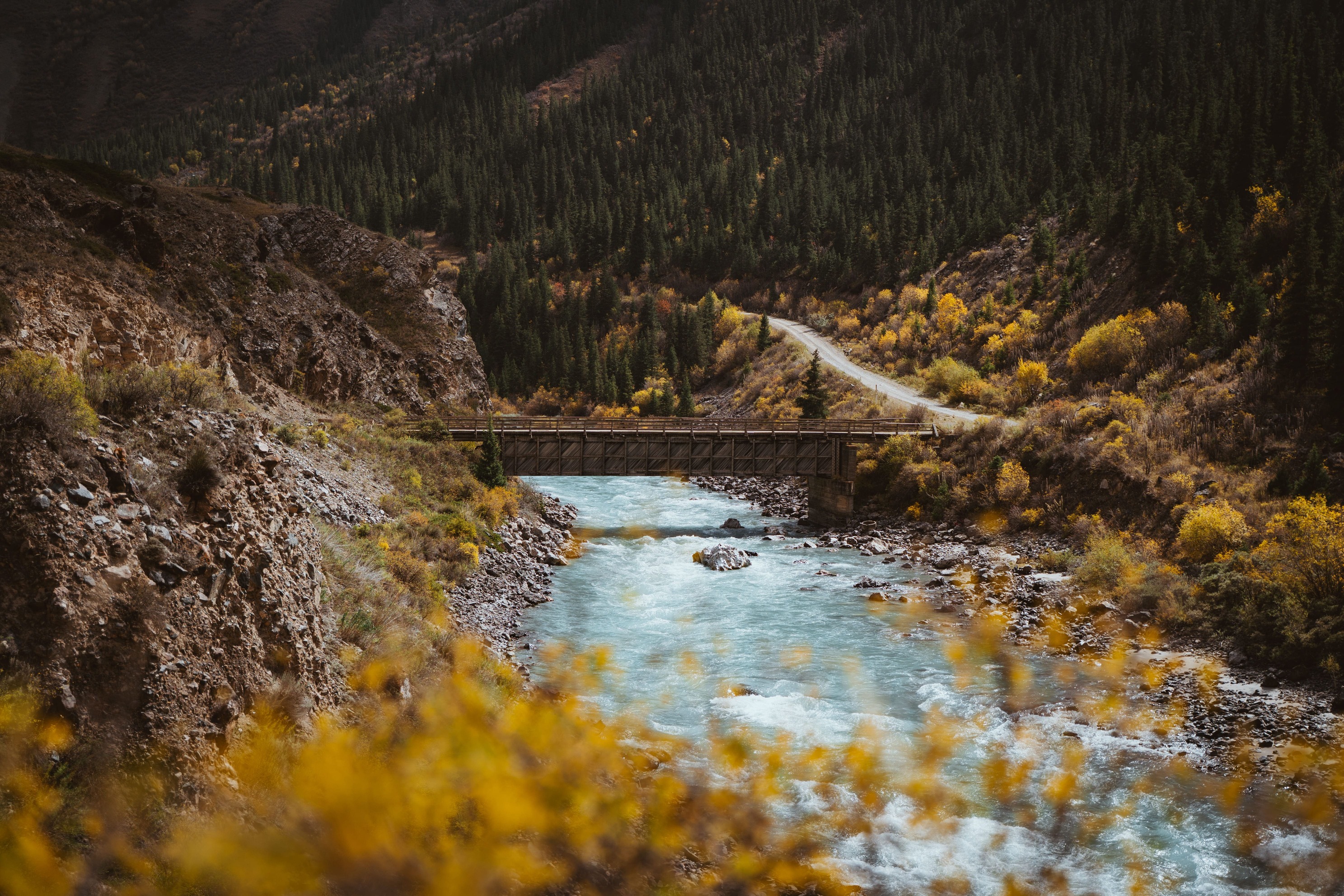 Landscape Photo 12